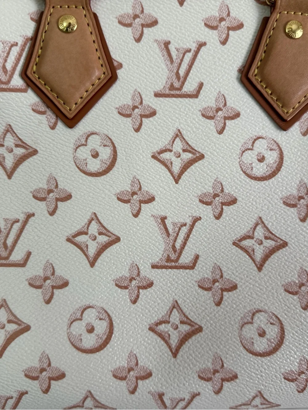 Louis Vuitton speedy Bandoulière 25  Discontinued color and model